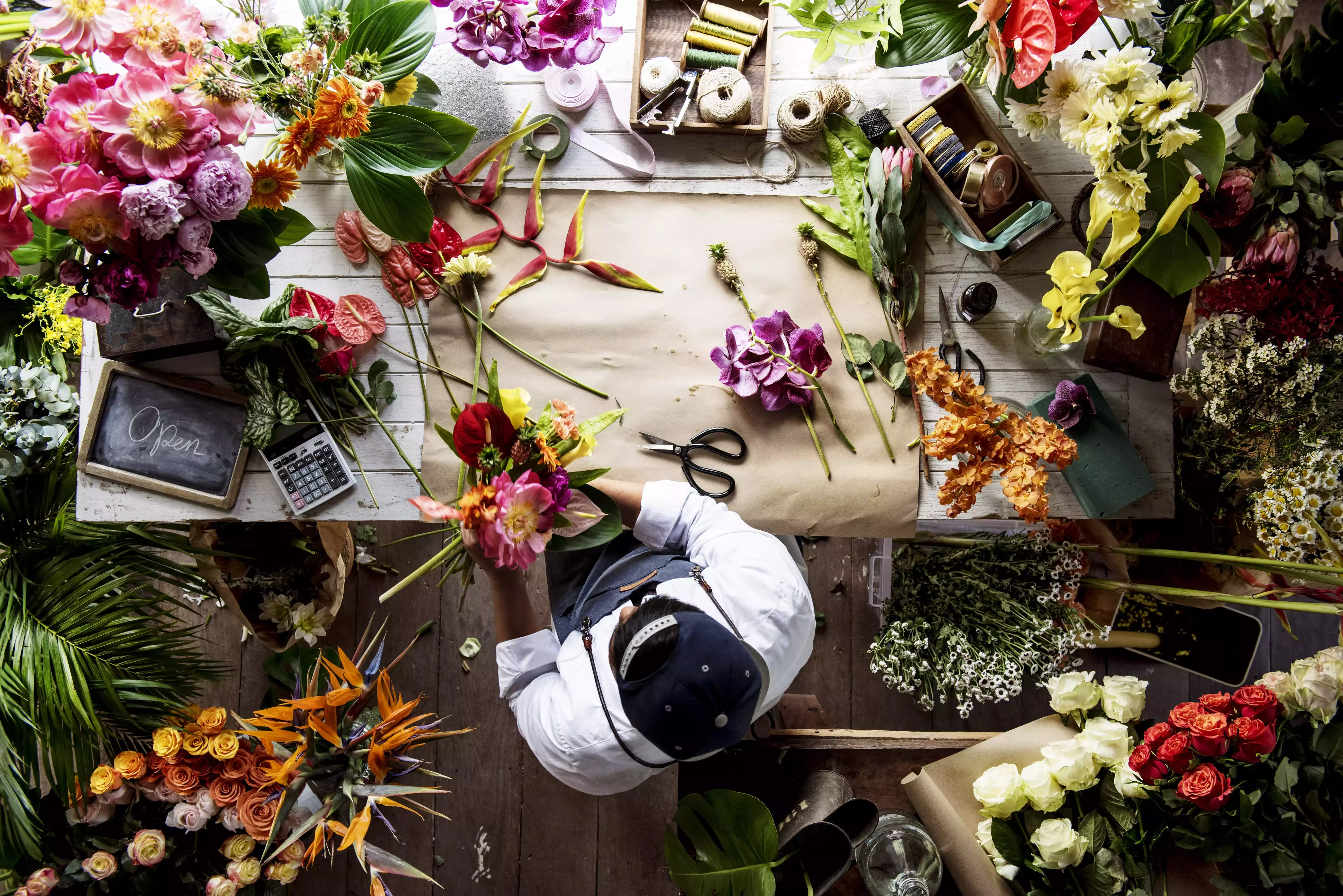 star-roses-and-plants