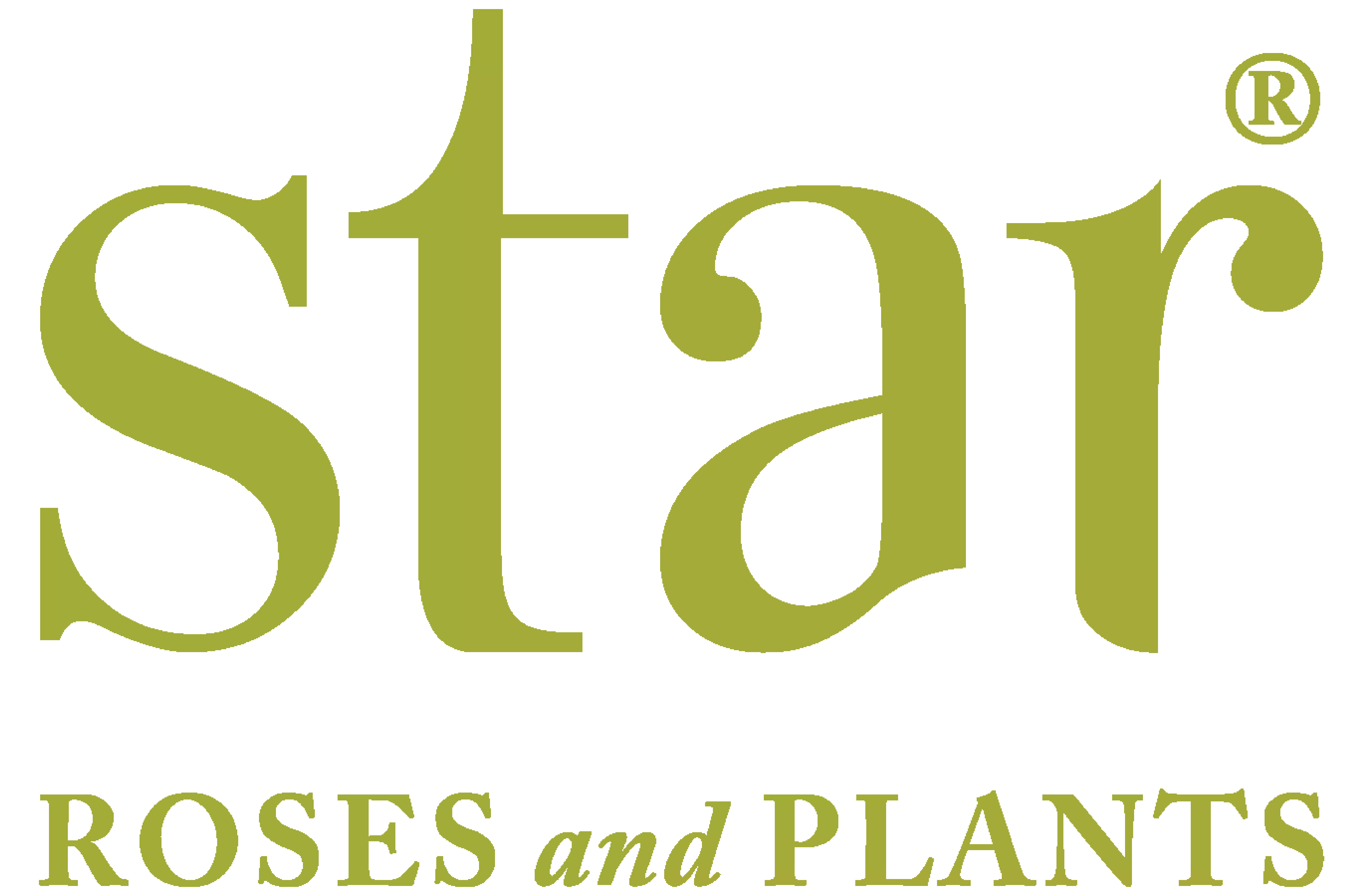 Star Roses & Plants Logo