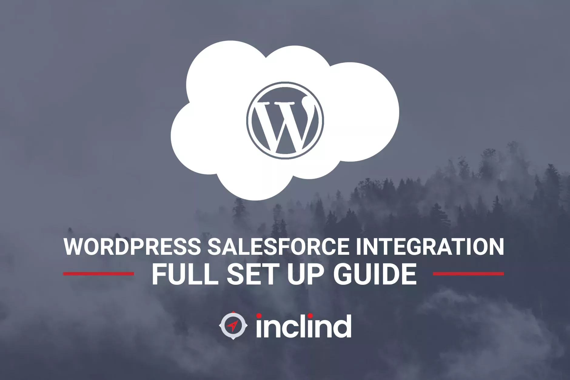 WordPress Salesforce Integration